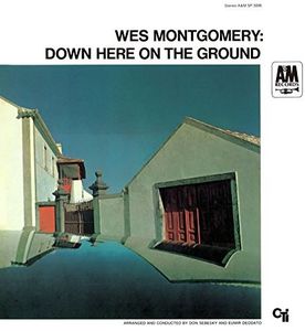 Down Here On The Ground [Import]
