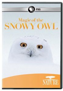 Nature: Magic of the Snowy Owl