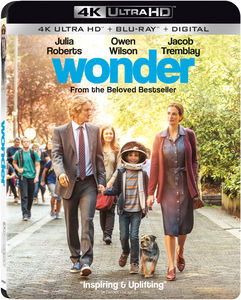 Wonder