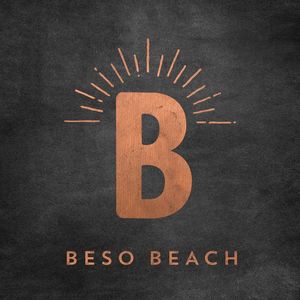 Beso Beach 2017: Mixed By Jordi Ruz /  Various [Import]