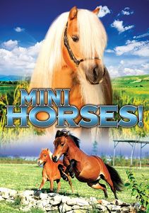 Mini Horses