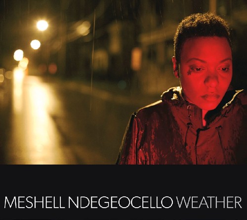 Me'Shell NdegéOcello - Weather