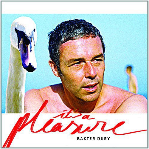 Baxter Dury - It's a Pleasure