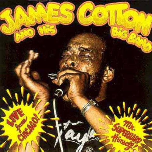 James Cotton - Live from Chicago - Mr Superharp Himself