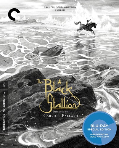  - The Black Stallion (Criterion Collection)