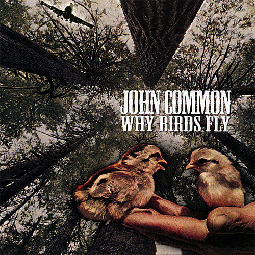 John Common - Why Birds Fly