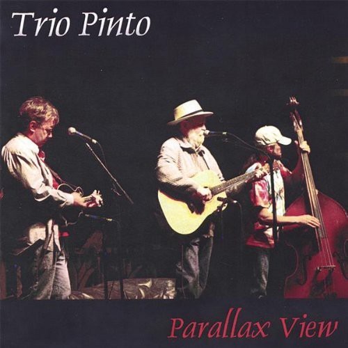 Pinto Bennett - Parallax View