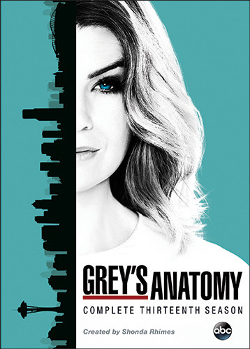 Grey's Anatomy: Complete Thirteenth Season