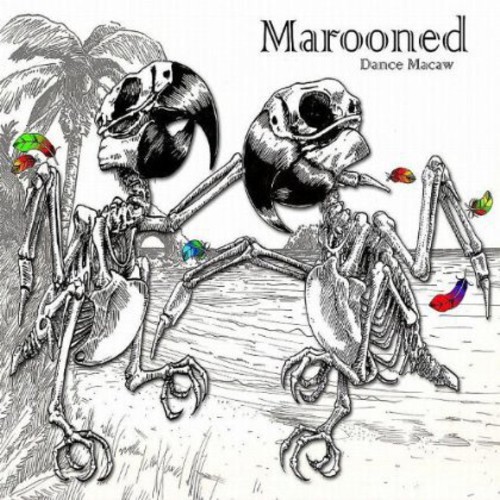 Marooned - Dance Macaw