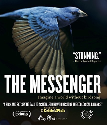 Messenger - The Messenger