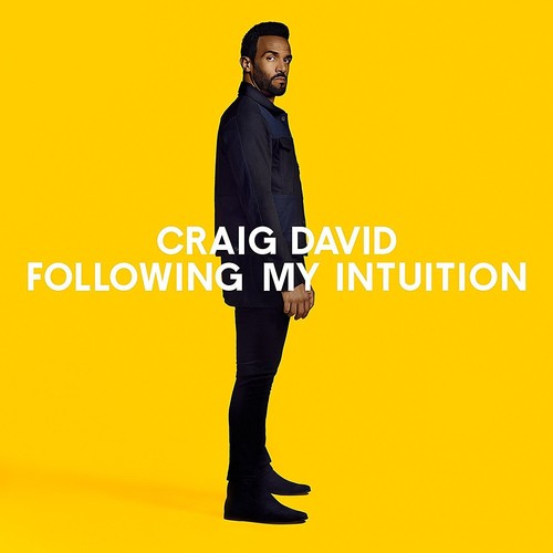 Craig David - Following My Intuition [Import Vinyl]
