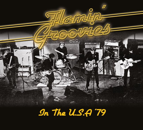 Flamin' Groovies - In the U.S.A '79