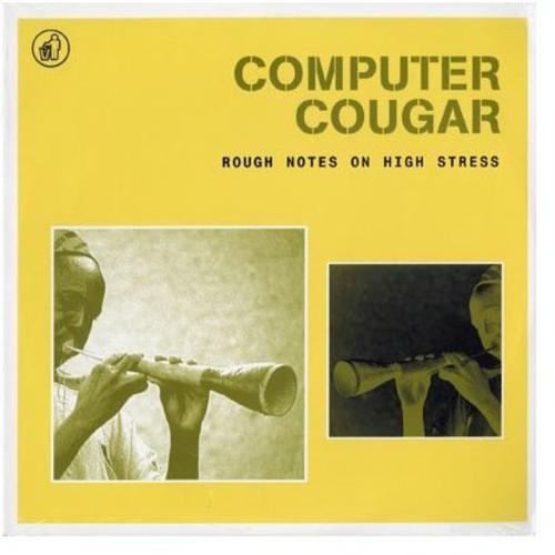 Computer Cougar - Rough Notes on High Stress