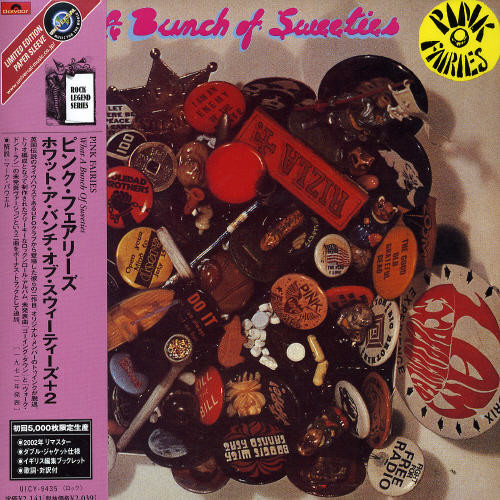 Pink Fairies - What a Bunch of Swqeeties