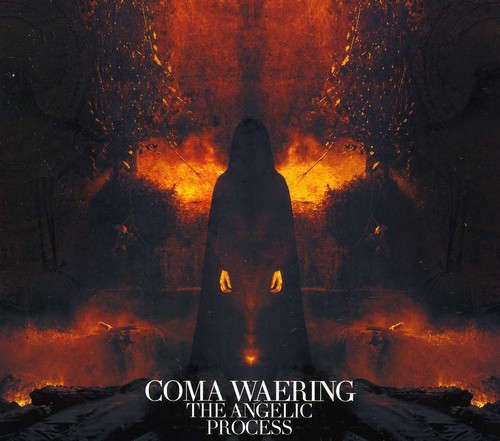 Coma Waering [Import]