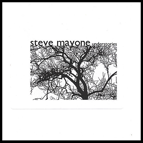 Steve Mayone - Understories