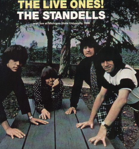 The Standells - Live Ones