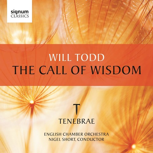 TENEBRAE - Call of Wisdom