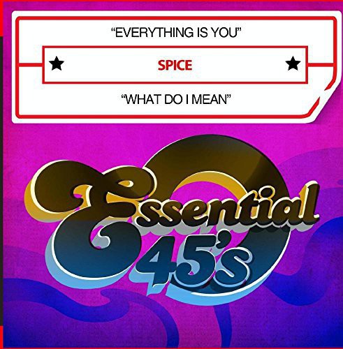 Spice - Everything Is You / What Do I Mean