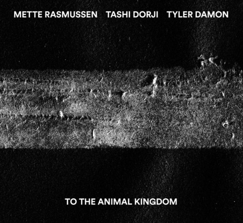 Tashi Dorji, Tyler Damon & Mette Rasmussen - To The Animal Kingdom