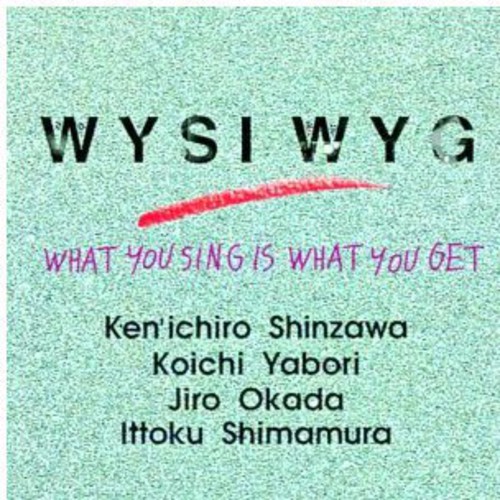What You Sing Is What You Get [Import]