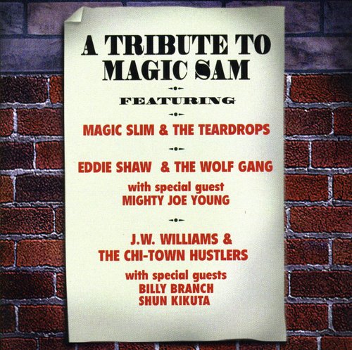 Tribute to Magic Sam /  Various