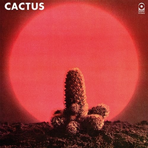 Cactus [Import]