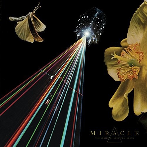 Miracle - The Strife Of Love In A Dream