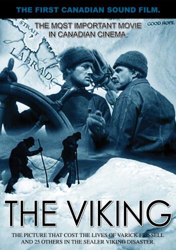Viking - The Viking