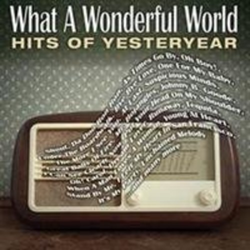 What a Wonderful World: The Hits of [Import]