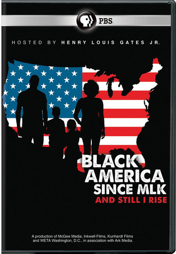 Black America Since Mlk: And Still I Rise
