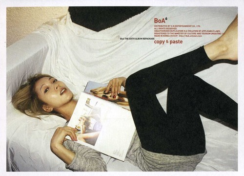 Boa - Copy & Paste (6th Album Repackage) [Import]