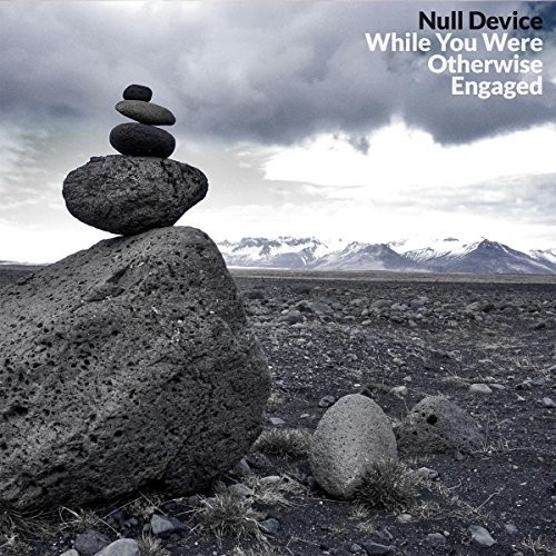 Null Device - While You Were Otherwise Engaged