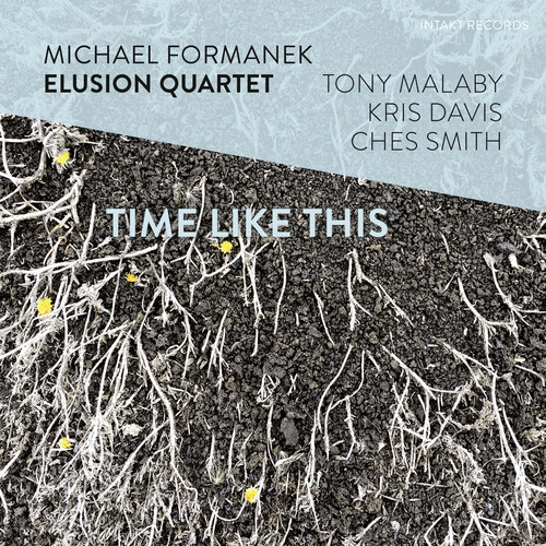 Michael Formanek - Time Like This