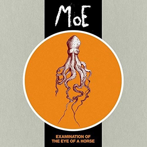 moe. - Examination Of The Eye Of A Horse [Import LP]