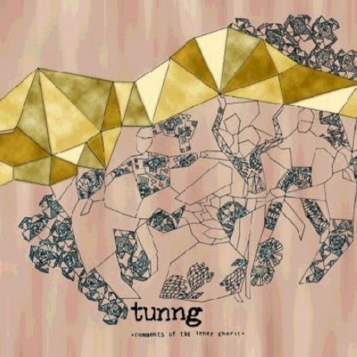 Tunng - Comments Of The Inner Chorus [Limited Edition]