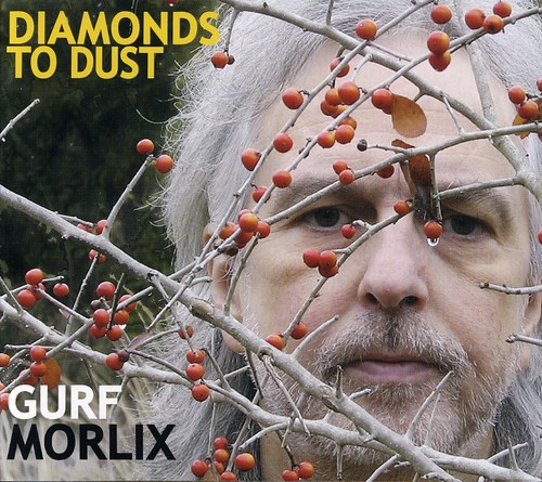 Gurf Morlix - Diamonds to Dust