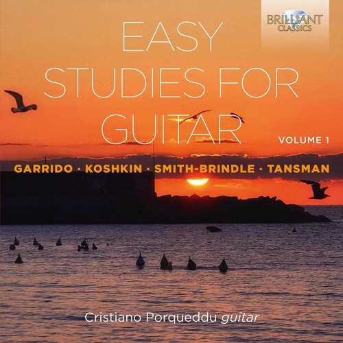 Easy Studies For Guitar Vol. 1