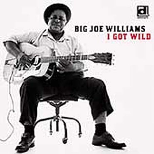 Big Joe Williams - I Got Wild