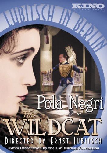 Wildcat - The Wildcat