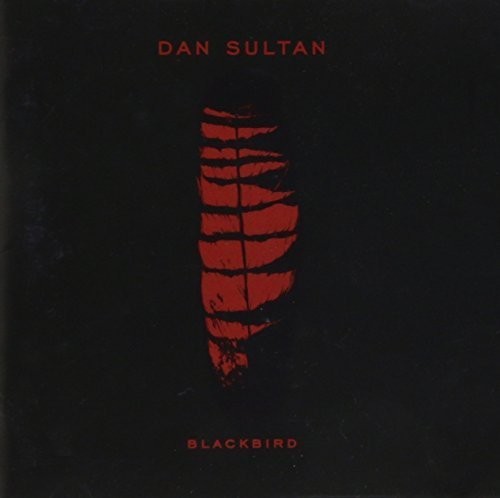 Dan Sultan - Blackbird