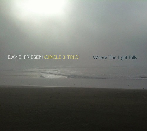 David Friesen & Circle 3 Trio - Where the Light Falls