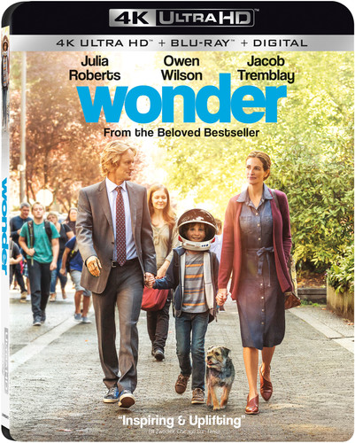 Wonder - Wonder
