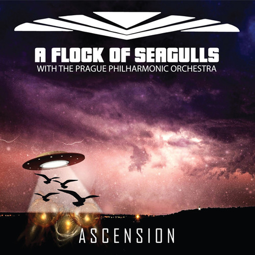 A Flock Of Seagulls - Ascension
