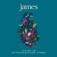 James - Living In Extraordinary Times [2LP]