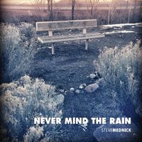 Steve Mednick - Never Mind the Rain