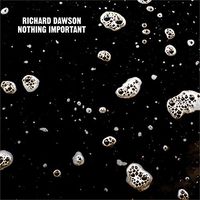 Richard Dawson - Nothing Important (Uk)