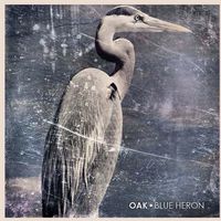 Oak - Blue Heron