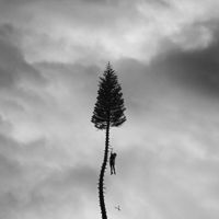 Manchester Orchestra - A Black Mile To The Surface [2LP]