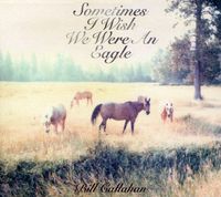 Bill Callahan - Sometimes I Wish We Were An Eagle